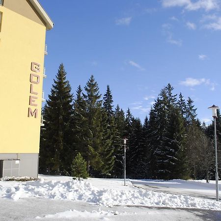 Golem Tatranska Strba Lejlighed Værelse billede